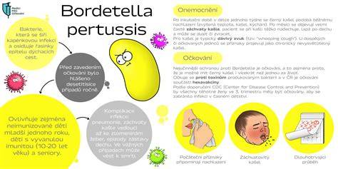Infografika: Hexavakcína a její ochranné složky (Záškrt, Tetanus, Černý kašel, HBV, Hib, Poliovirus)