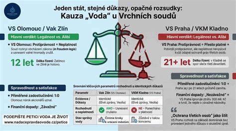 Infografika znázorňující právní postavení nasciturus a jeho ochranu v různých právních oblastech