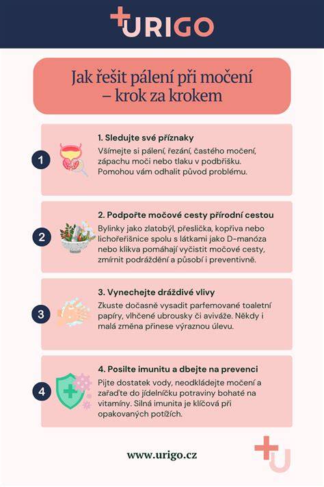 Infografika: Příčiny a prevence plenkové dermatitidy