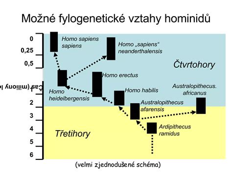 Schéma zobrazující průchodnost vejcovodů a možné překážky.