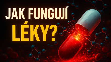 Infografika: Jak fungují vejcovody a co se děje po jejich odstranění