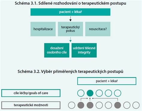 Schéma IVF postupů a jejich kroků