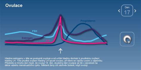 grafické znázornění ženského reprodukčního cyklu s vyznačením plodných dnů a ovulace