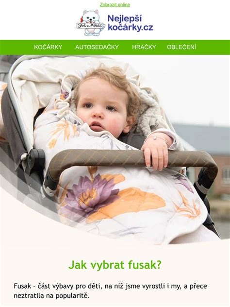 Infografika: Jak vybrat fusak pro vajíčko - parametry (délka, materiál, kompatibilita)