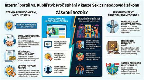 Infografika: Shrnutí výhod a rizik bazarových lehátek