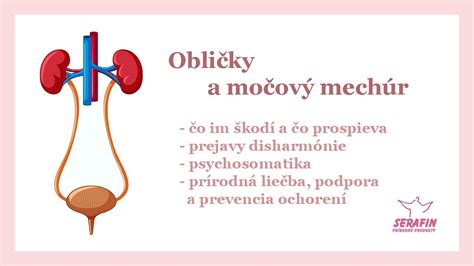 Ilustrace znázorňující vejcovod a vaječník, s akcentem na jeden funkční vejcovod.
