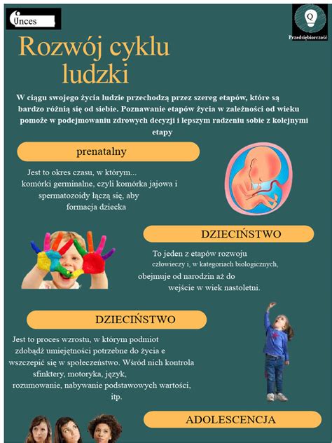Infografika: etapy meiózy a vznik gamet