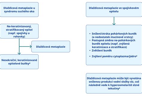 schéma znázorňující možný vývoj komplikací spalniček