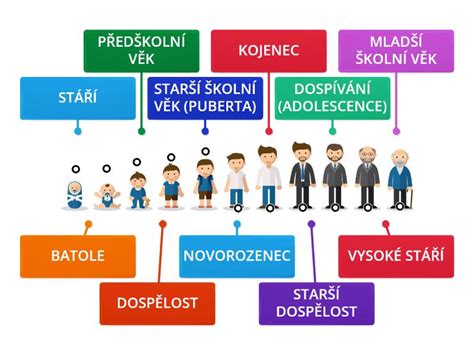 infografika zobrazující vývojové fáze dítěte od prenatálního období po školní věk