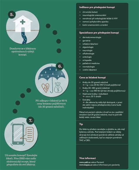 Infografika: Cesta k početí po vysazení HA