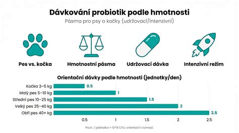 Infografika: Přežívání a rizika podle gestačního věku a hmotnosti
