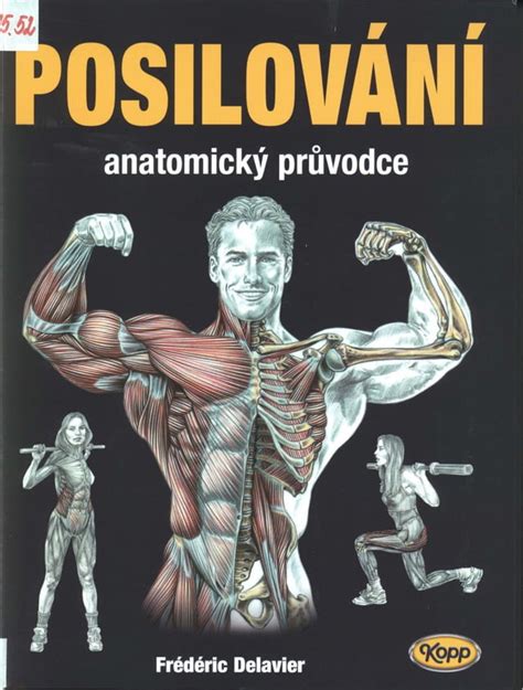 Fotografie anatomicky tvarovaného spodního lemu pásu Anita