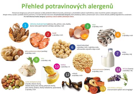 Schéma zobrazující různé typy alergenů, na které může být člověk alergický.