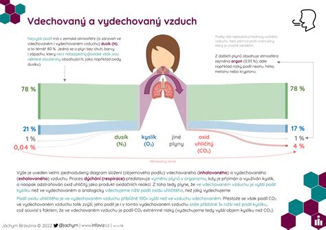 Infografika srovnávající složení klasických a ekologických plen