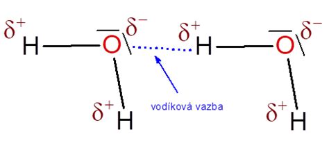 schematické znázornění hydratace iontu molekulami vody
