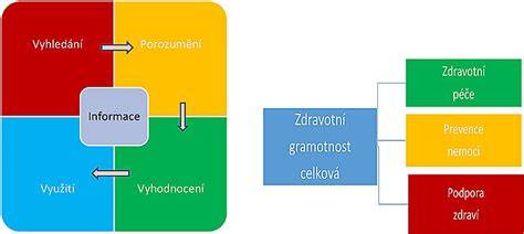 Infografika: Zdravotní gramotnost a socioekonomické faktory u dospívajících