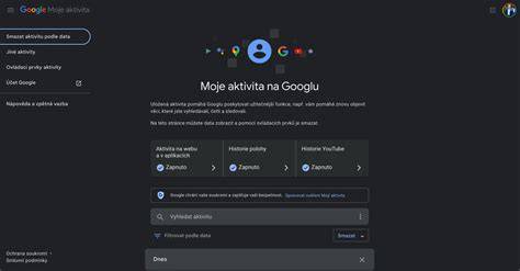 Grafické znázornění rozhraní Moje aktivita na Google