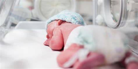 Infografika: Struktura kliniky gynekologie, porodnictví a neonatologie