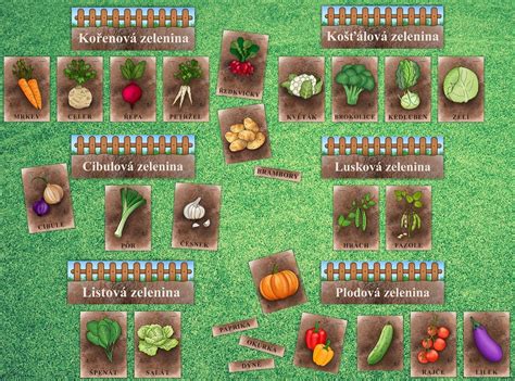 různé druhy zeleniny pro přípravu dětských polévek