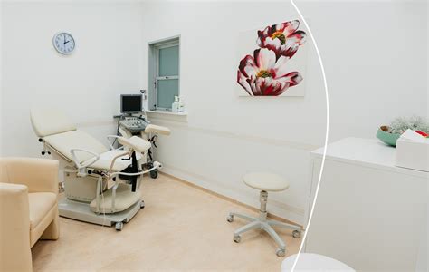 Grafické znázornění procesu IVF od stimulace vaječníků po transfer embrya