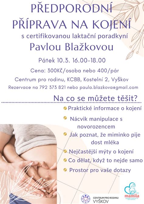 Ikony představující různé formy podpory při kojení (lékař, laktační poradkyně, online komunita)