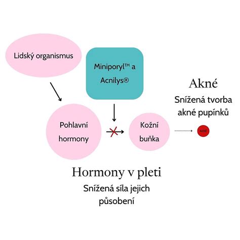 grafické znázornění ženského reprodukčního systému a působení hormonů