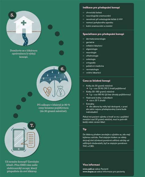 Infografika: Cesta Rh inkompatibility od imunitní odpovědi matky k hemolýze plodu a následkům