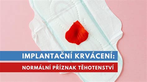 Ilustrace implantačního krvácení a jeho porovnání s menstruací