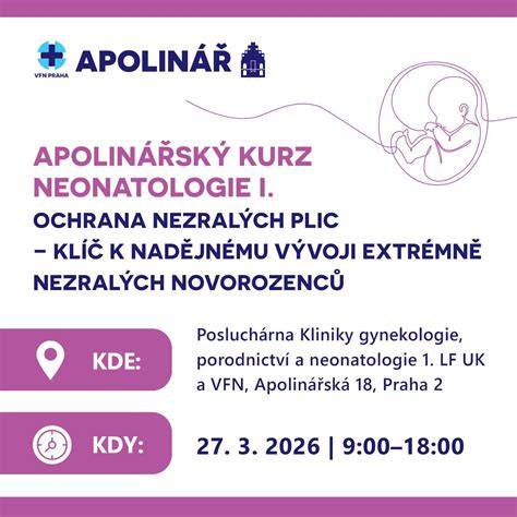 Infografika: Struktura Porodnice Apolinář a klíčové služby