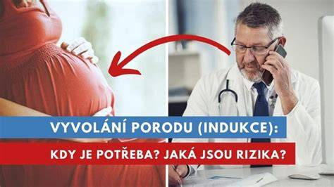 Infografika: Jak probíhá vyvolání porodu a použití prostaglandinů