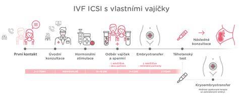 Infografika: Výběr dárkyně vajíček, postup IVF s darovanými vajíčky