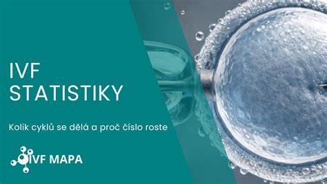Infografika: Struktura cyklů ARe v ČR (IVF, KET, zamrazení, ED, EmR)