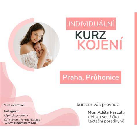 Infografika: Jak funguje kojení a co ovlivňuje tvorbu mléka