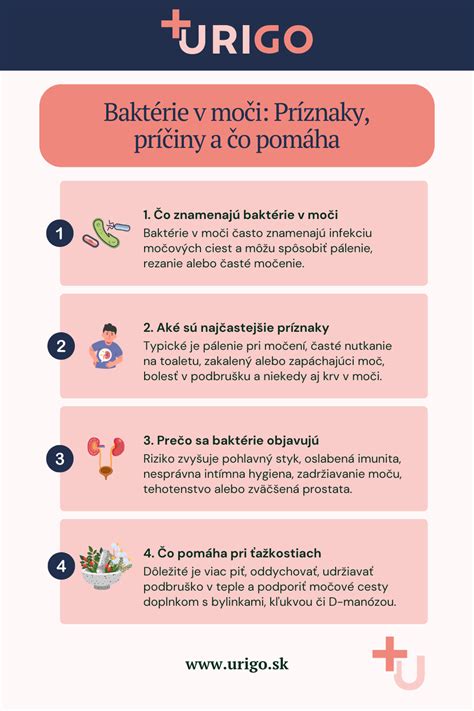 Infografika: Správný postup přebalování krok za krokem