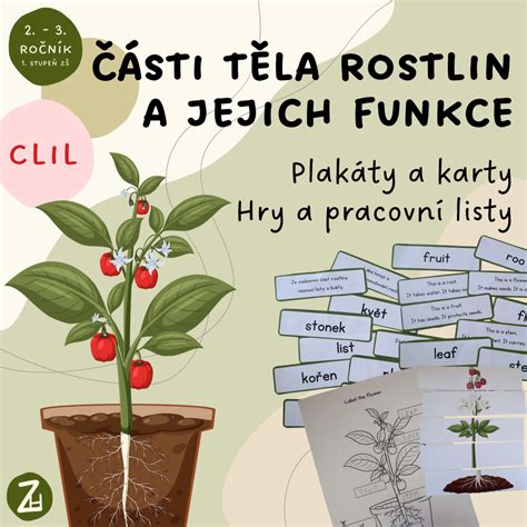 Infografika: Hlavní části nosítek Tula a jejich funkce