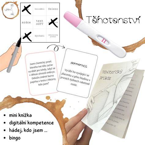 infografika: cesta od těhotenství k porodu