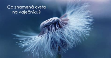 Infografika: Cysta na vaječníku a možnosti léčby
