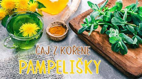 Infografika: Jak připravit čaj z kořene šišáku bajkalského