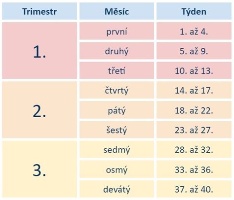 infografika: cviky pro druhý a třetí trimestr