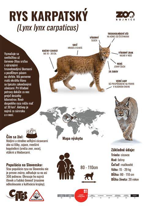 Infografika: porovnání systémů plenek