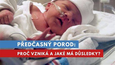 Mapa rizikových faktorů pro předčasný porod