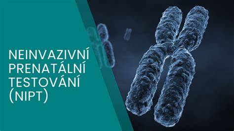 Mapa informací o testech NIPT, CVS, AMC a kordocentéza
