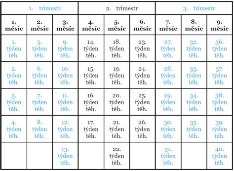Průběh těhotenství: trimestry, vyšetření a frekvence návštěv