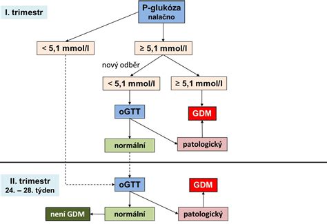 Infografika: OGTT a postupy screeningu gestačního diabetu