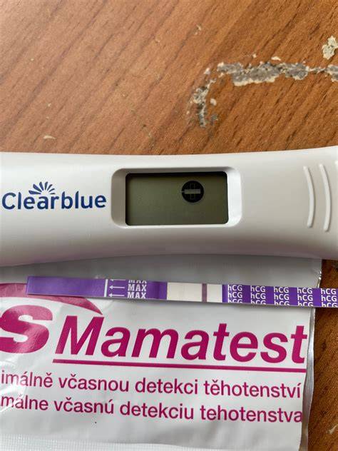 fotografie: balení různých značek těhotenských testů (Clearblue, GS Mamatest, Pregnant 10)