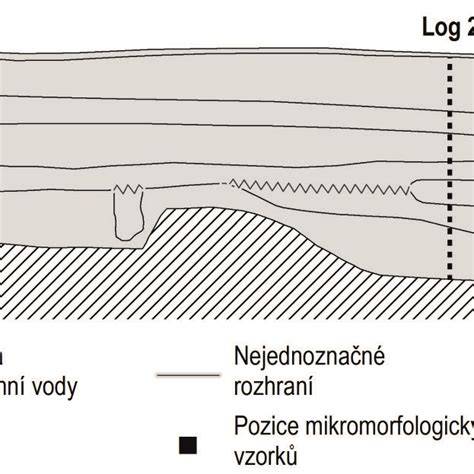 schematické znázornění fází cyklu a období plodnosti