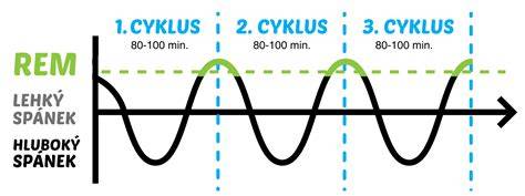 Infografika: Spánkové cykly kojenců a vliv náruče na usínání