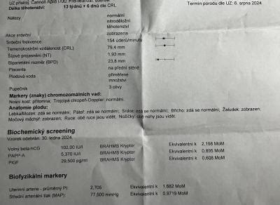 Infografika: Postup prvotrimestrálního screeningu a jeho výsledky