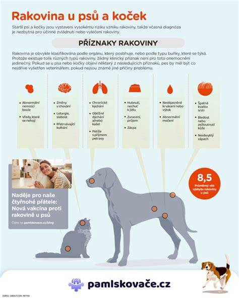 Infografika: Epistaxe u psů - typy, příčiny a první pomoc