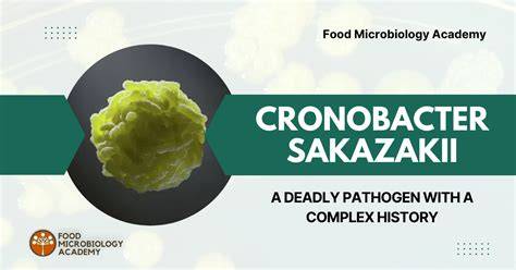 Infografika: Bezpečná příprava UM a rizika Cronobacter sakazakii